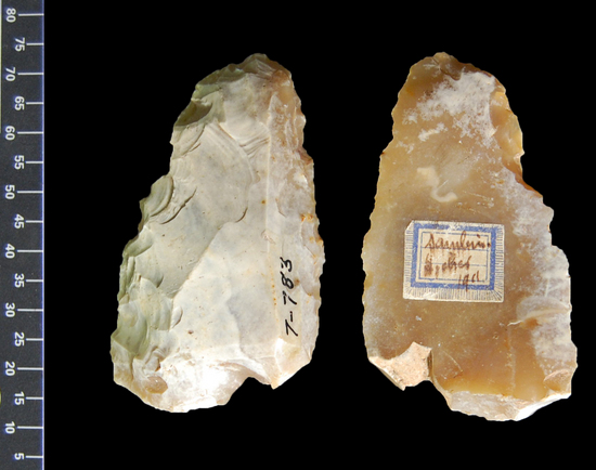 Hearst Museum object titled Flake, accession number 7-783, described as small Paleolithic flint implement, Mousterian type ?