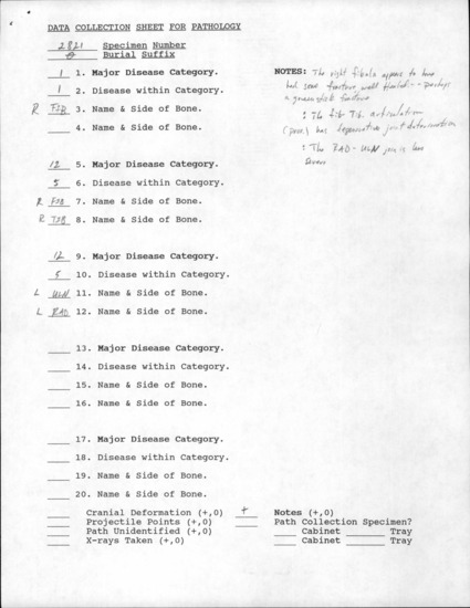 Documentation associated with Hearst Museum object titled Human remains, accession number 12-2821(0), described as The incomplete remains of a young adult male.