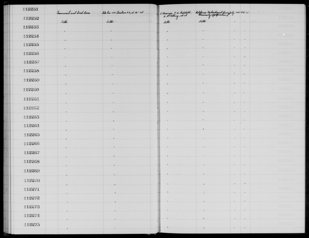 Documentation associated with Hearst Museum object titled Faunal remains, accession number 1-112266, described as Mammal and bird.