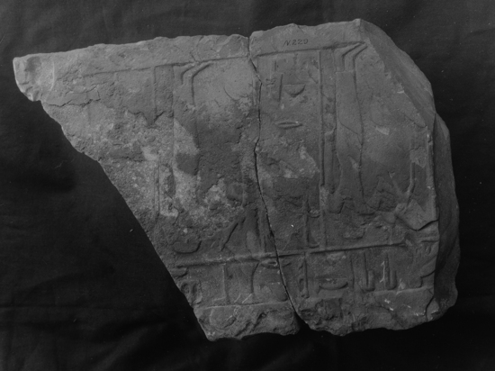 Hearst Museum object titled Black-and-white negative, accession number 15-6671, described as Stele, N. 229