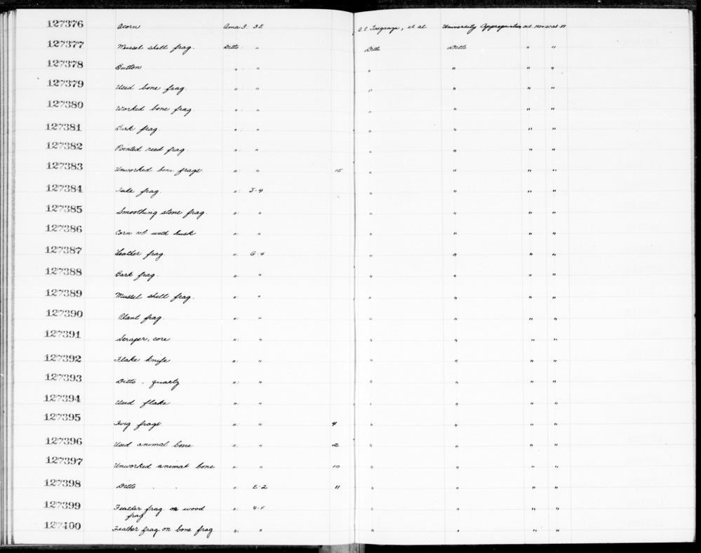 Documentation associated with Hearst Museum object titled Shell fragment, accession number 1-127389, described as Mussel shell fragment.