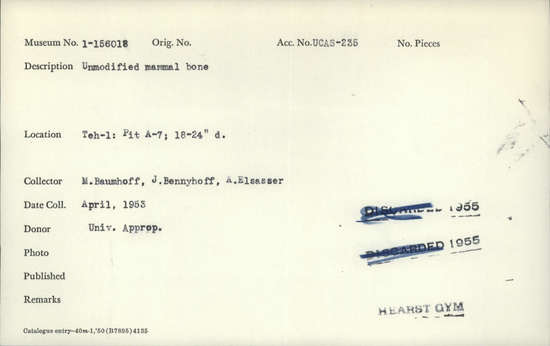 Documentation associated with Hearst Museum object titled Faunal remains, accession number 1-156018, described as Unmodified, mammal.