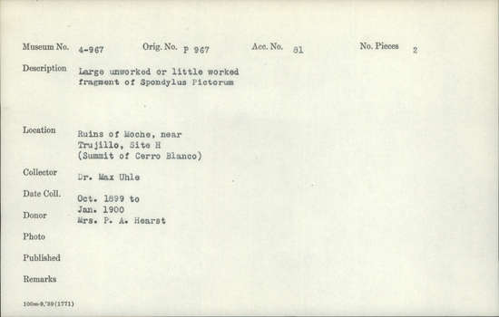 Documentation associated with Hearst Museum object titled Shell fragment, accession number 4-967, described as Large unworked or little worked fragment of Spondylus pictorum.