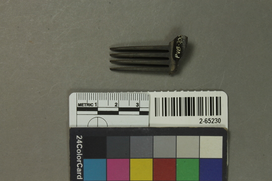 Hearst Museum object titled Comb, accession number 2-65230, described as No description given on catalog card. comb fragment