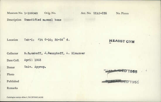 Documentation associated with Hearst Museum object titled Faunal remains, accession number 1-156040, described as Unmodified, mammal.