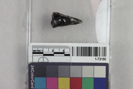 Hearst Museum object titled Point, accession number 1-73190, described as Obsidian point