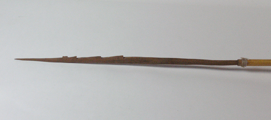 Hearst Museum object 1 of 2 titled Arrow, accession number 16-342, described as Arrow, barbed hardwood point, cane shaft, no feathers.