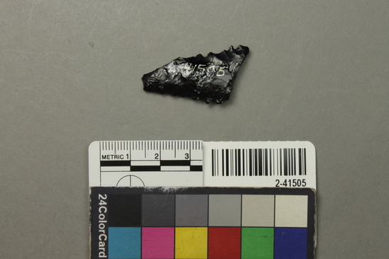 Hearst Museum object titled Projectile point, accession number 2-41505, described as No description given on catalog card.