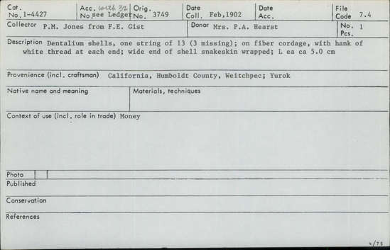 Documentation associated with Hearst Museum object titled Shell money, accession number 1-4427, described as Dentalium shells, one string of 13 (3 missing); on fiber cordage, with hank of white thread at each end; wide end of shell snakeskin wrapped