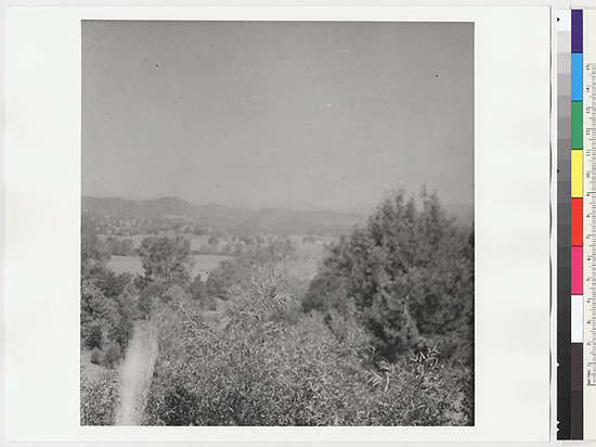 Hearst Museum object titled Black-and-white negative, accession number 15-5560, described as View from Indian rancheria at Chicken Ranch