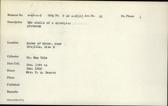 Documentation associated with Hearst Museum object titled Shell, accession number 4-46b, described as Two shells of spondylus pictorum.