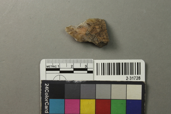 Hearst Museum object titled Point fragment ?, accession number 2-31728, described as Chert.