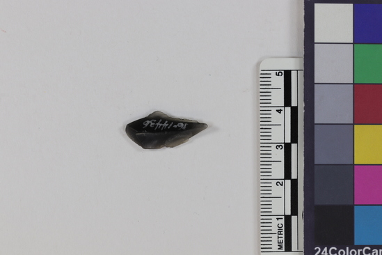 Hearst Museum object 2 of 2 titled Flake, accession number 16-14436, described as Projectile point fragment; obsidian; triangular; weight: 0.53 grams; length: 2.26 cm; width: 1.04 cm; depth: 0.29 cm.