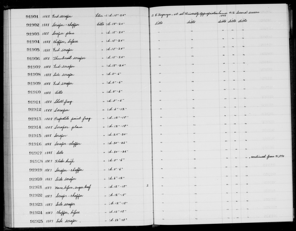 Documentation associated with Hearst Museum object titled Shell fragment, accession number 1-91911, described as Shell fragment