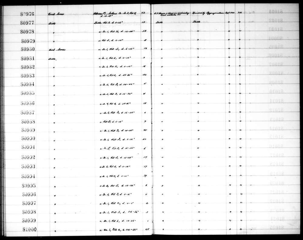 Documentation associated with Hearst Museum object titled Tibiotarsus fragment, accession number 1-80980.5, no description available.