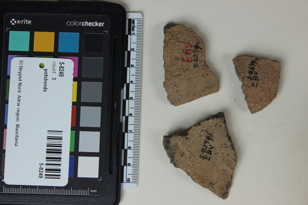 Hearst Museum object 2 of 2 titled Potsherds, accession number 5-8249, described as Sherds; darker core; orange powder on some broken surfaces