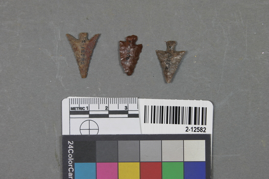 Hearst Museum object titled Projectile points, accession number 2-12582, described as Flint arrowpoints