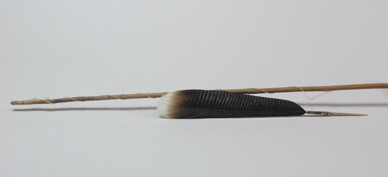 Hearst Museum object titled Arrow, accession number 16-9534, described as Arrow; cane shaft; blunt tip carved from reddish wood; shaft wound with thread at both ends; no fletching