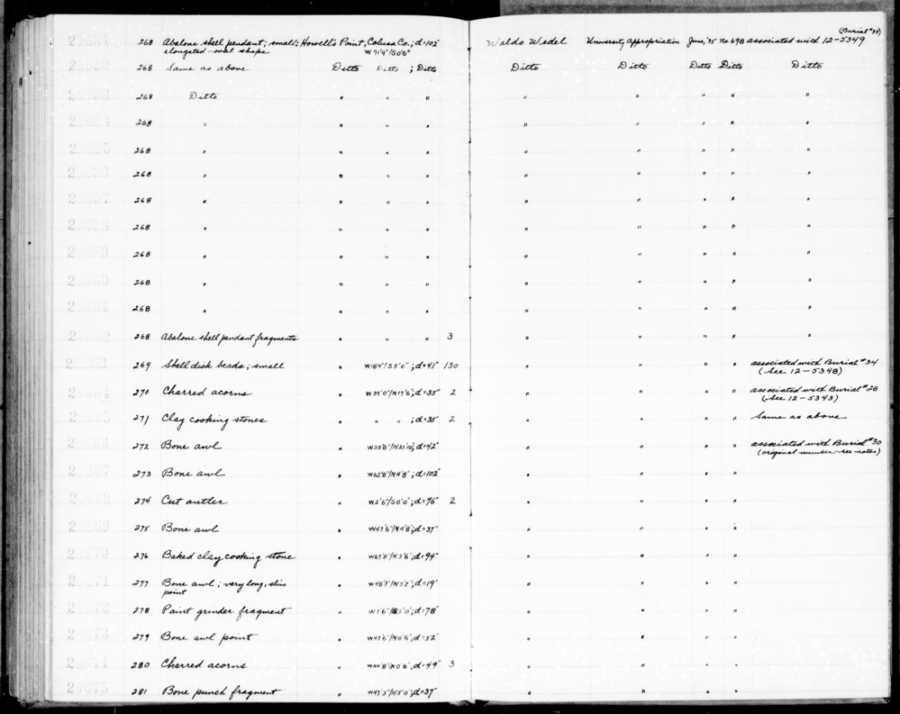 Documentation associated with Hearst Museum object titled Awl, accession number 1-29666, described as Bone.