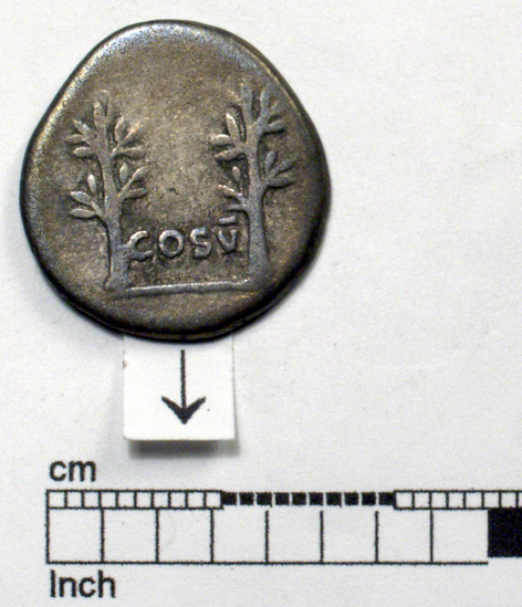 Hearst Museum object 8 of 8 titled Coin: ar denarius, accession number 8-4690, described as Coin; AR; Denarius; Roman. Vespasian, 74 AD. Rome, Italy. Obverse: IMP CAESAR ___ ___, bust r. laureate. Reverse: COS V; to left and right, two laurel branches. CF American Numismatic Society coin 1985.140.42 with inscription Obverse: IMP CAESAR VESP AVG. Reverse: COS V.