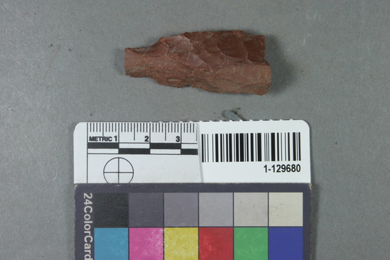 Hearst Museum object titled Blade or point fragment, accession number 1-129680, described as Chert blade or point fragment.