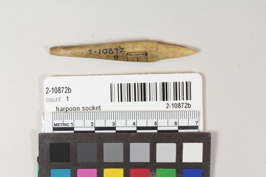 Hearst Museum object titled Harpoon socket, accession number 2-10872b, no description available.