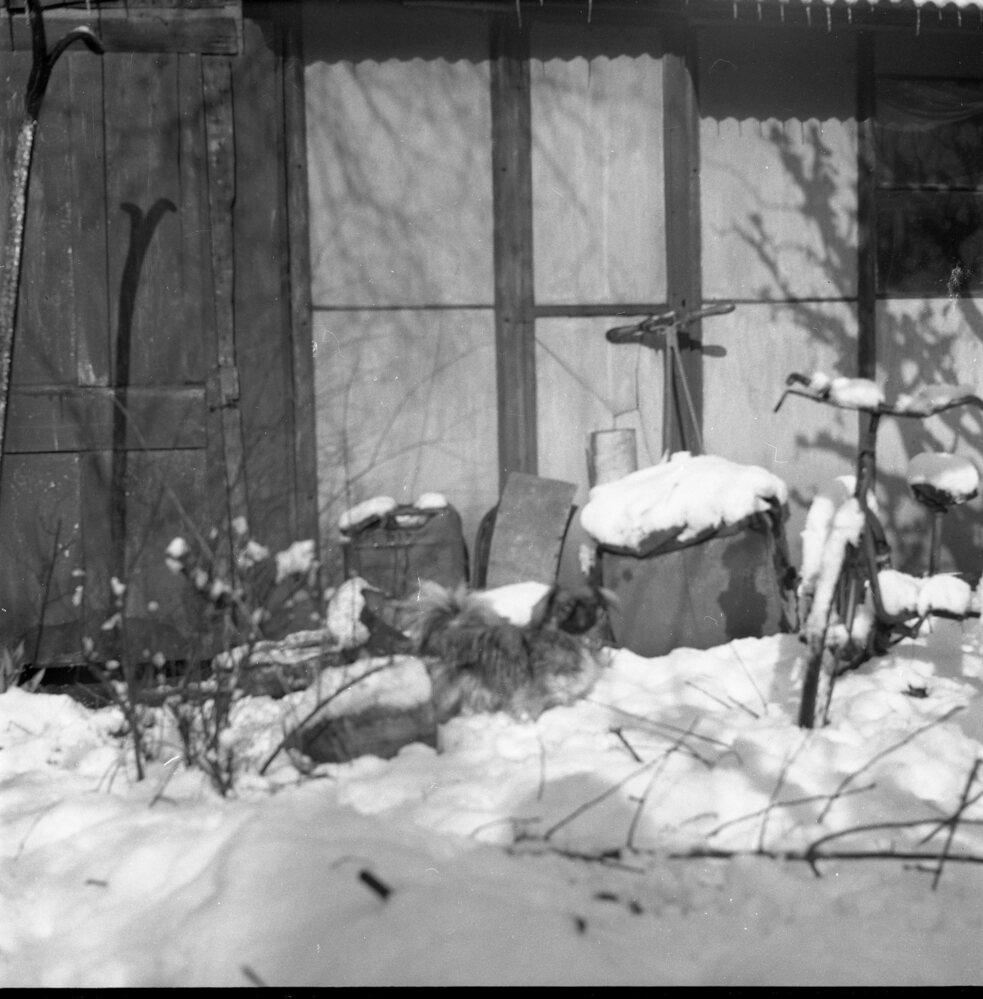 Hearst Museum object titled Black-and-white negative, accession number 15-31644, described as Black-and-white negative, Cambridge, England, 1958