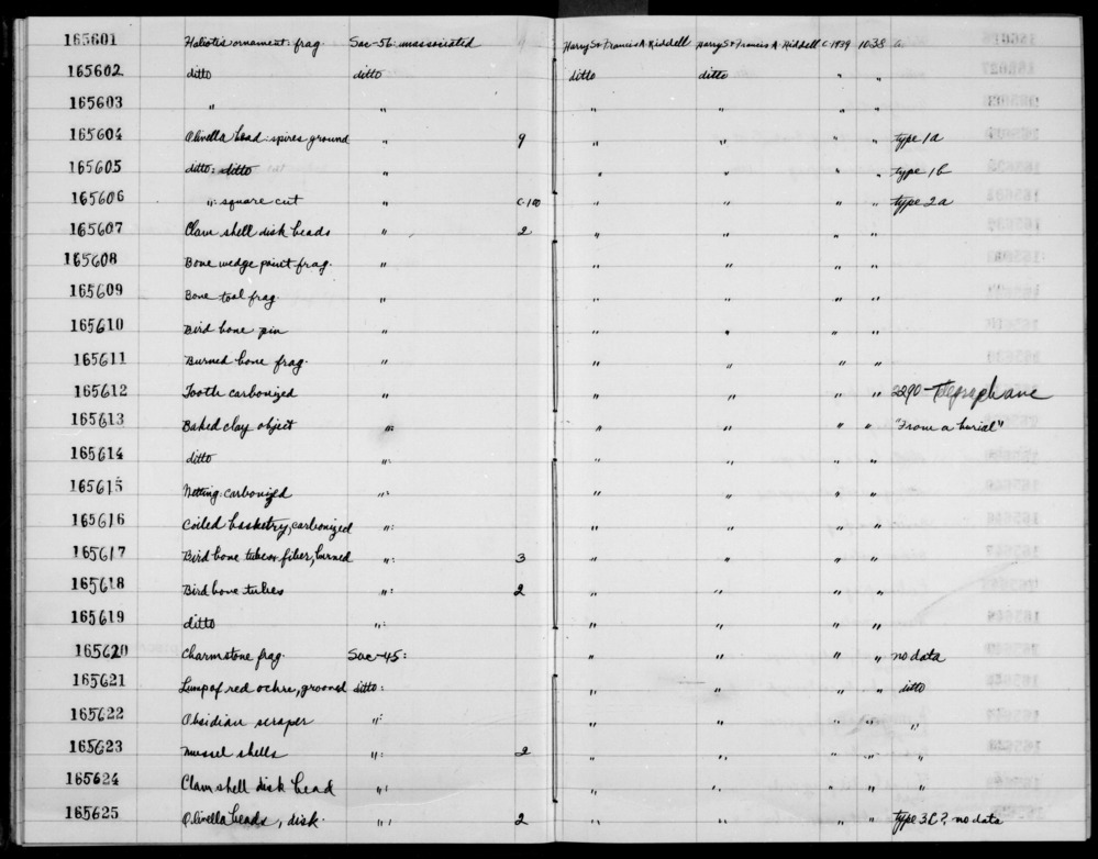 Documentation associated with Hearst Museum object titled Worked bone, accession number 1-165609, described as Bone.