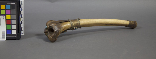 Hearst Museum object 3 of 3 titled Thighbone trumpet, accession number 9-21861, described as Thighbone trumpet, fitted with brass at the mouthpiece and bell, and ornamented with turquoise and coral insets. This is a ritual trumpet fashioned from a human thigh bone.