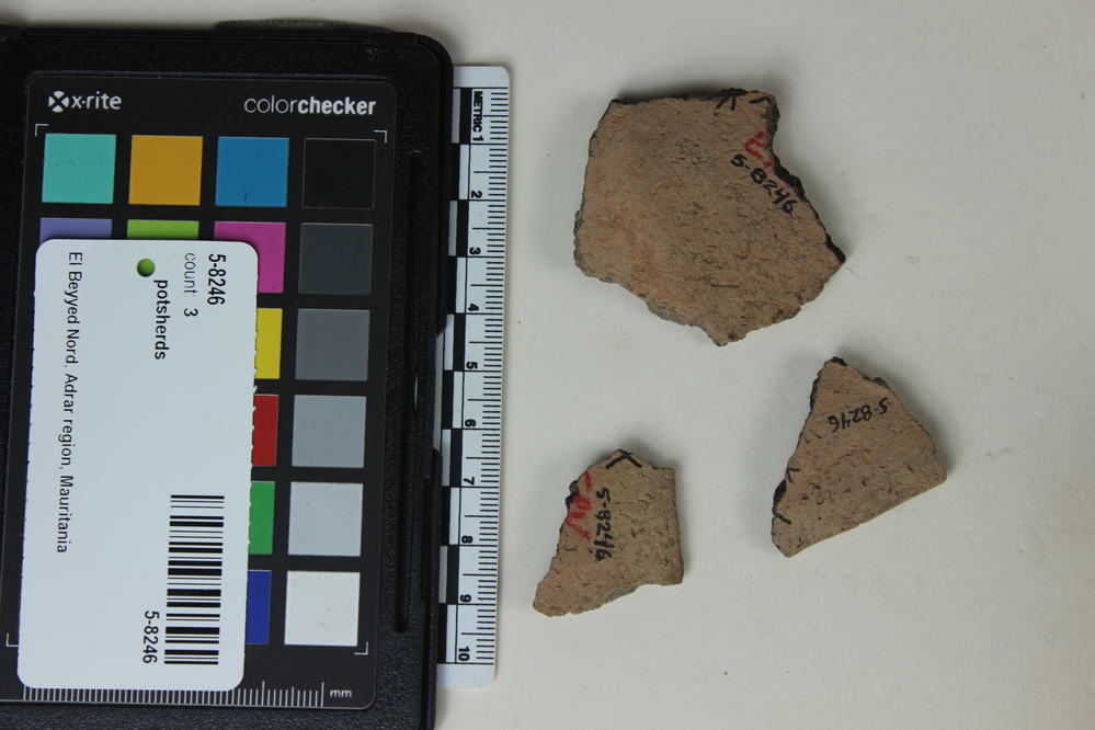 Hearst Museum object titled Potsherds, accession number 5-8246, described as Rim sherd (broken into 3 pieces, glued together); darker core