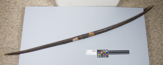 Hearst Museum object titled Bow, accession number 2-3343, described as Made of wood, handle wrapped with skin (half missing), face stained black, marks from strings on nocks.  Single grooves on back above and below handle.