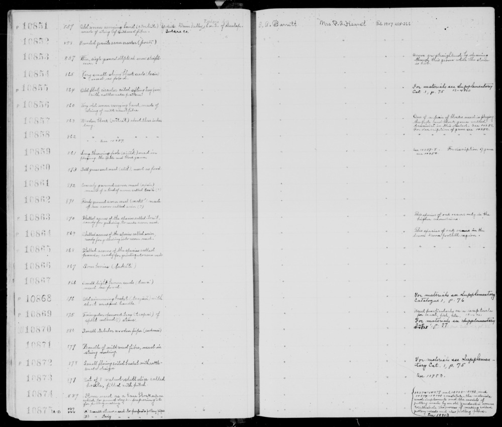 Documentation associated with Hearst Museum object titled Acorns, accession number 1-10864, described as Shelled.