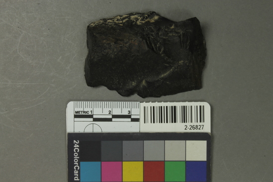 Hearst Museum object titled Flake, accession number 2-26827, described as Percussion flake scraper; black basalt