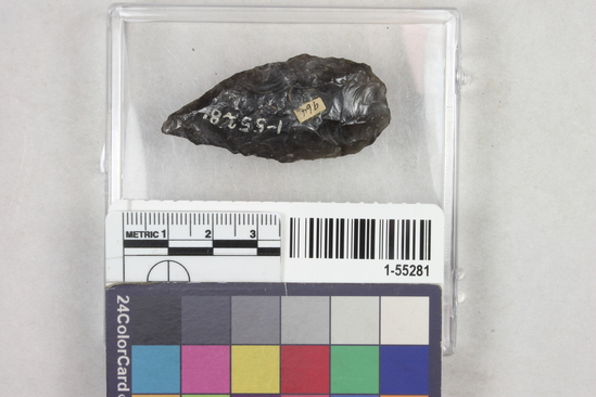 Hearst Museum object titled Spearhead, accession number 1-55281, described as Grey flint.