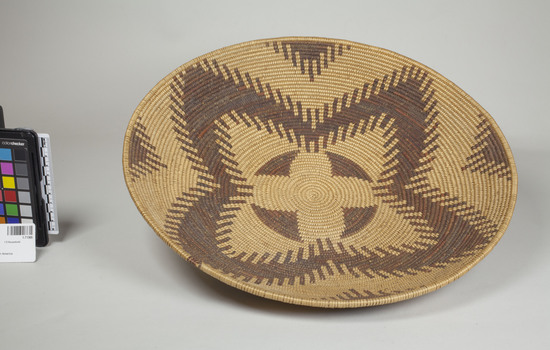 Hearst Museum object 4 of 4 titled Winnowing tray, accession number 1-71369, described as Coiled basket, deep tray.  Tag "Maidu att.".  Tag on baskets "D-62". Per Ralph Shanks:  Coiled basket winnowing tray.  Tight spiral, pinhole start.  The basket has a three rod foundation, probably willow.  The weft materials are peeled and unpeeled redbud.  The design at the base is a four sided star/flower.  On the sides is one horizontal band of zigzags, forming a four pointed star/flower.   The workface is on the inside, with many split stitches on the backface.  The weft fag ends are concealed and the work direction is to the left.  The basket has a plain wrapped rim with a blunt coil ending.  This is basket is attributed to the Patwin due to the shape and depth of the basket and the peeled redbud background.