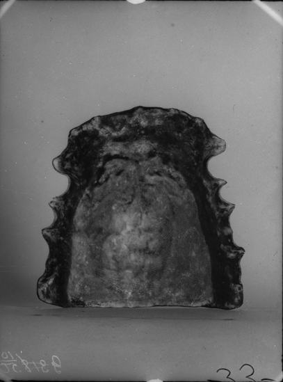 Hearst Museum object titled Black-and-white negative, accession number 15-3403, described as Palatogram; sa-willai