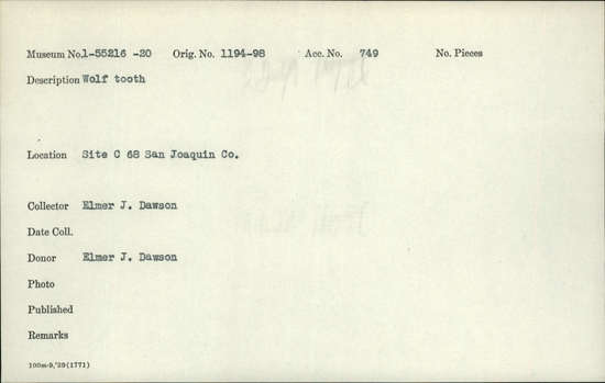 Documentation associated with Hearst Museum object titled Tooth, accession number 1-55218, described as Wolf.