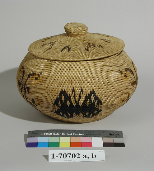 Hearst Museum object titled Basket with lid, accession number 1-70702a,b, described as Single rod coiling, bowl shape. With cover.