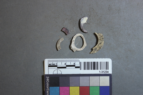 Hearst Museum object titled Fishhooks, accession number 1-31234, described as Abalone fishhooks, in various stages.