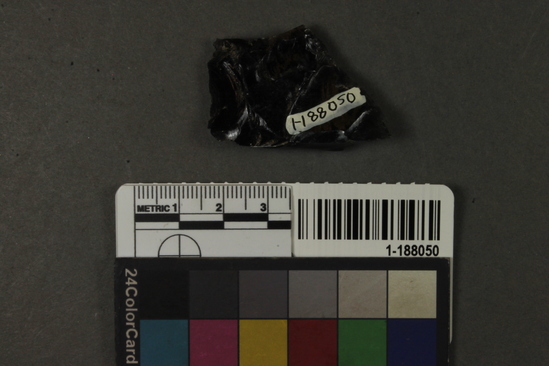 Hearst Museum object titled Blade fragment, accession number 1-188050, described as Obsidian