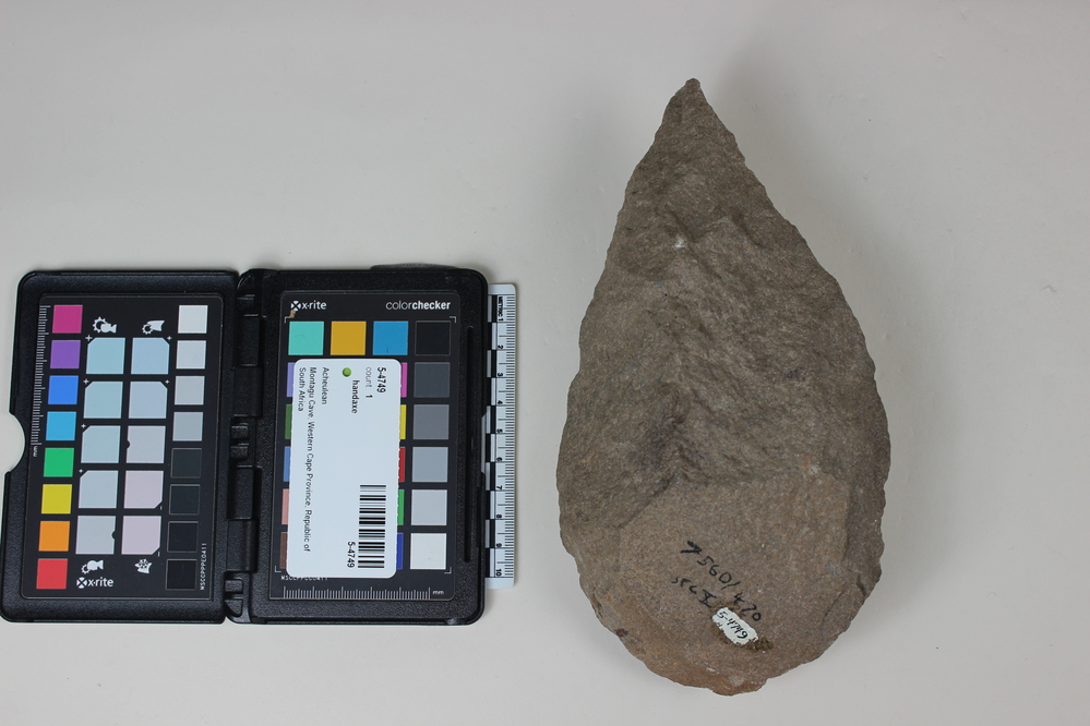 Hearst Museum object 1 of 2 titled Handaxe, accession number 5-4749, described as Quartzite hand axe; Length 20.5 cm.