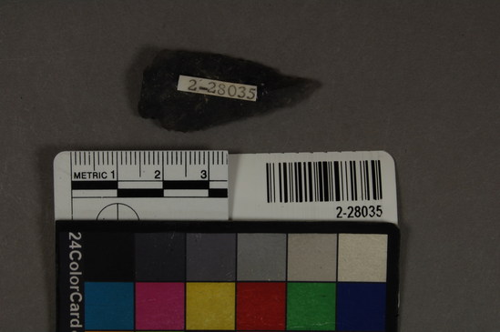 Hearst Museum object titled Point fragment, accession number 2-28035, described as Projectile point fragment