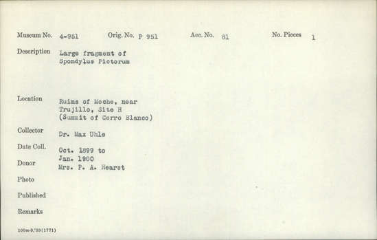 Documentation associated with Hearst Museum object titled Shell fragment, accession number 4-951, described as Large fragment of Spondylus pictorum.