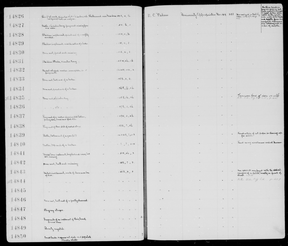 Documentation associated with Hearst Museum object titled Implement fragments, accession number 1-14848, described as Made of thin, broad, porous bone. Notice: Image restricted due to its potentially sensitive nature. Contact Museum to request access.