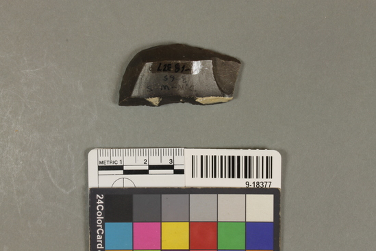 Hearst Museum object titled Scraper, accession number 9-18377, described as Oblique, convex end scraper, chert