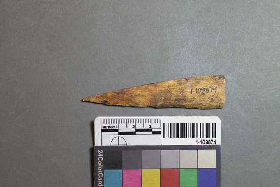 Hearst Museum object titled Worked bone, accession number 1-109874, described as Pointed bone.  Asphaltum on tool.