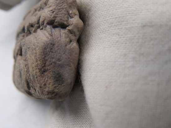 Hearst Museum object 67 of 93 titled Cuneiform tablet, accession number 9-2946, described as Mesopotamian cuneiform tablet