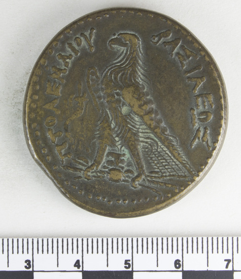 Hearst Museum object 3 of 6 titled Coin: æ, accession number 8-4906, described as Coin; AE; Greek. 40 mm. Ptolemy III. Obverse: head of Zeus Ammon r. Reverse: ΠΤΟΛΕΜΑΙΟΥ ΒΑΣΙΛΕΩΣ, eagle l.