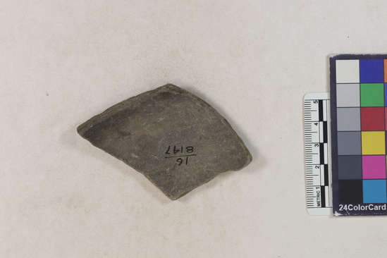 Hearst Museum object 1 of 2 titled Potsherd, accession number 16-8147, described as Potsherd; body, shoulder.  Section of Manta on Beach currently inhabited. Numbers  8111 to 8194 are sherds picked up on beach at low tide.