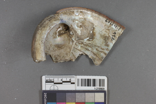 Hearst Museum object titled Shell fragment, accession number 1-219909, described as Worked?